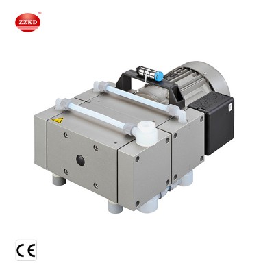 Laboratory Portable Small Oil Free Electric Diaphragm Vacuum Pump